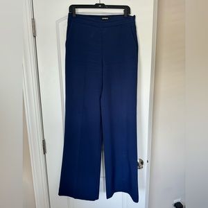 Express Wide Leg Pants 8L